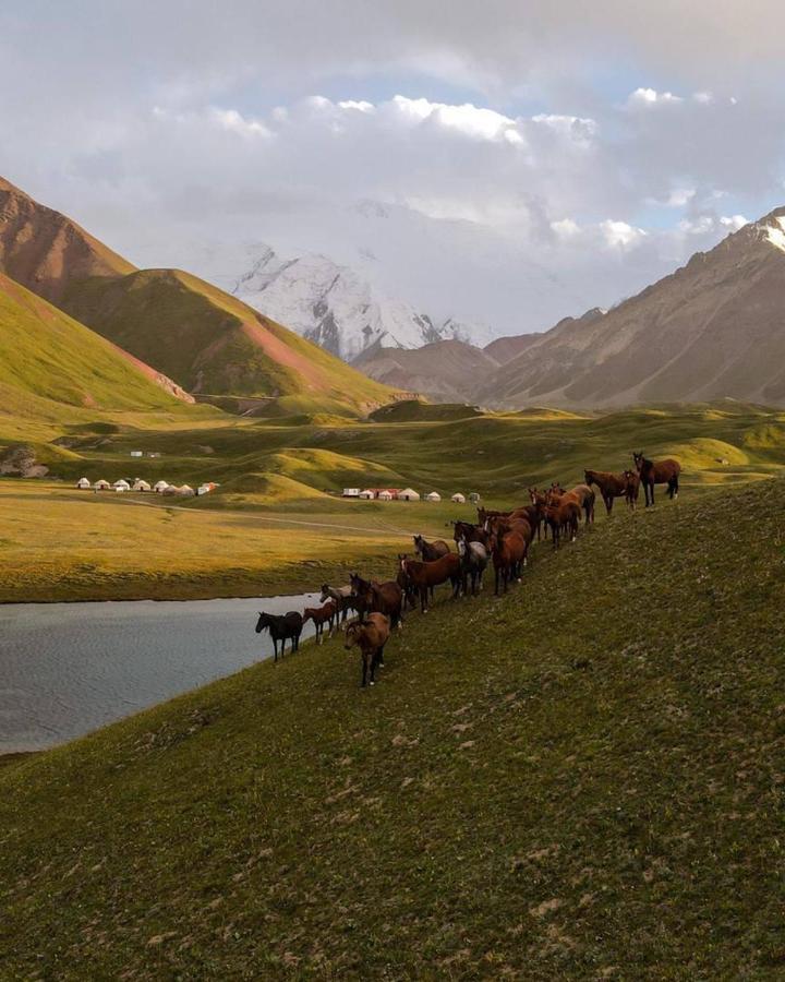 Pamir Nomad Yurt Camp Hotel Kara-Kavak Luaran gambar