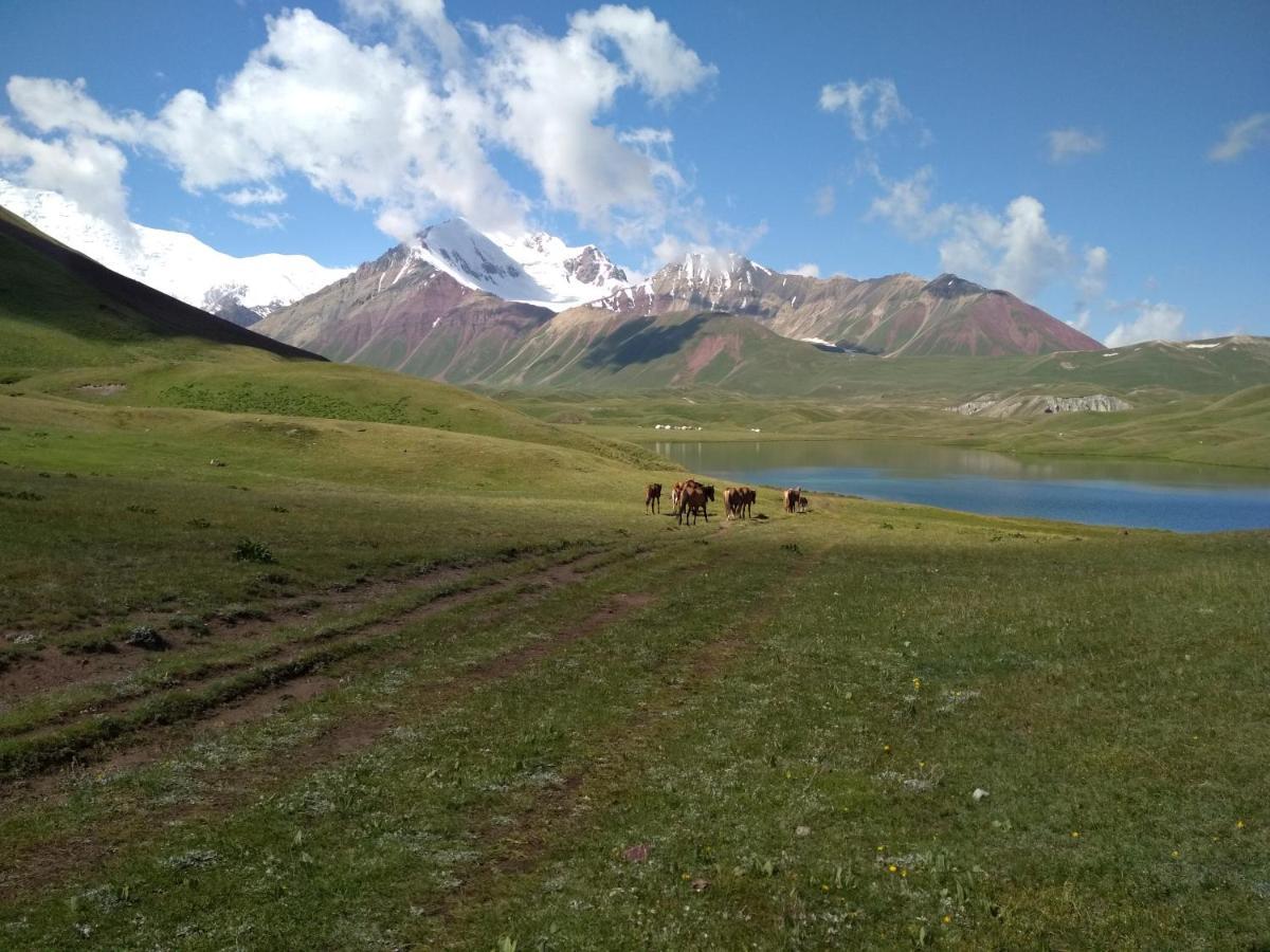 Pamir Nomad Yurt Camp Hotel Kara-Kavak Luaran gambar