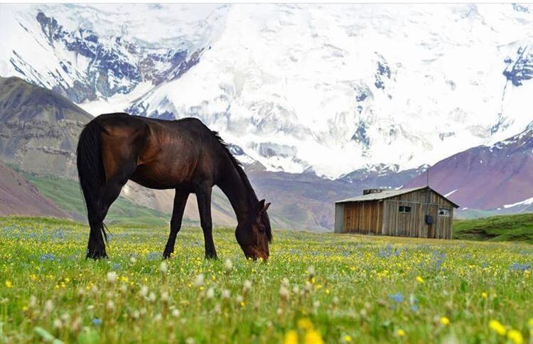 Pamir Nomad Yurt Camp Hotel Kara-Kavak Luaran gambar
